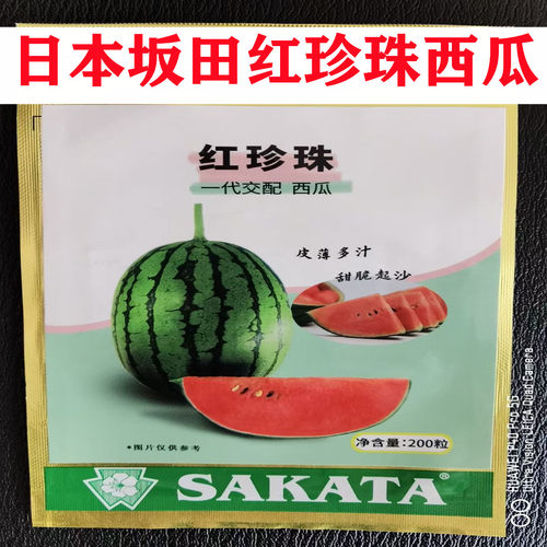 2K4K西瓜种子日本坂田红珍珠沙驼雪峰超甜薄皮早熟小西瓜种籽孑