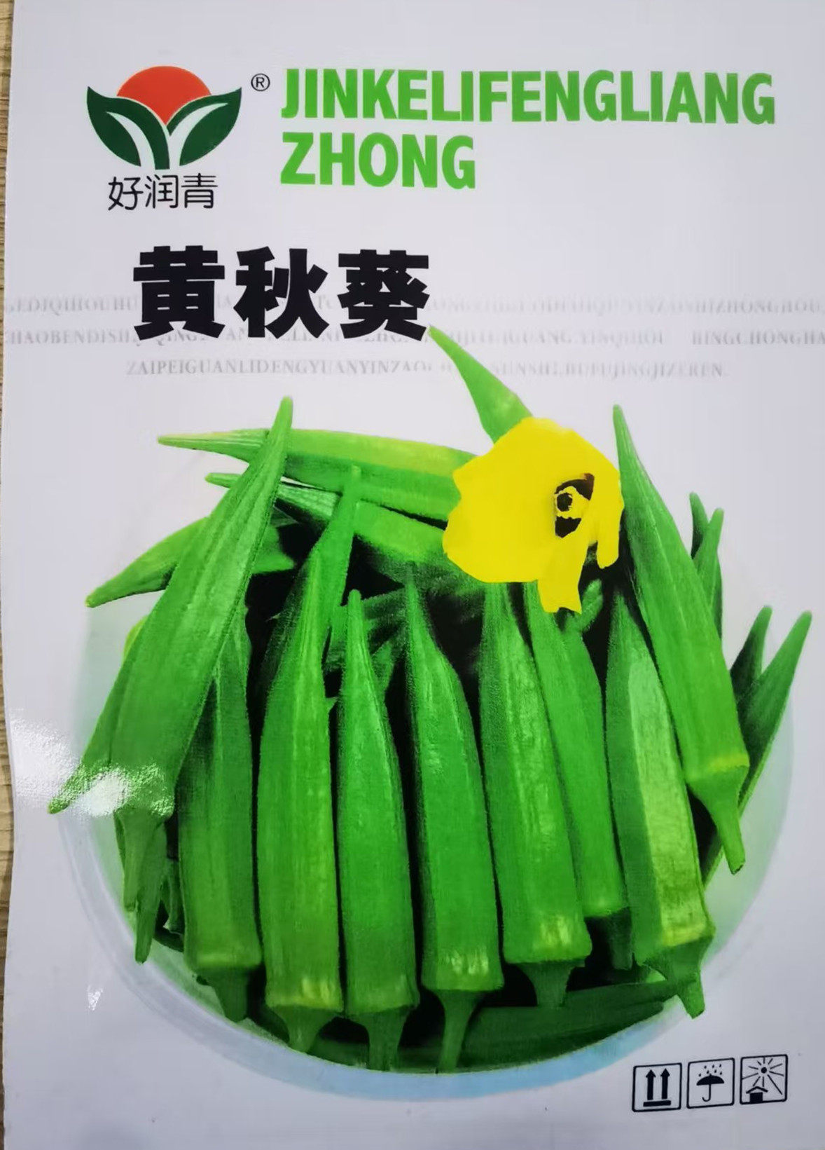 黄秋葵种子 绿秋葵籽 水果秋葵 春播四季庭院赛瑞特高产包邮