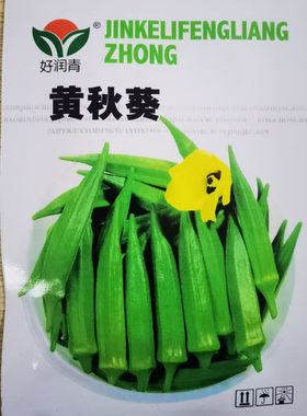 黄秋葵种子 绿秋葵籽 水果秋葵 春播四季庭院赛瑞特高产包邮