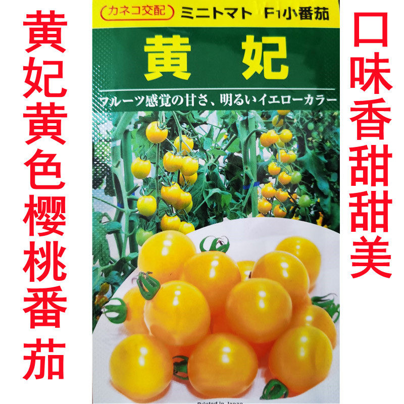 黄妃小番茄种子西红柿种籽阳台四季盆栽蔬菜孑黄色水果圣女果籽种,农用物资,蔬菜种子/种苗,淘宝优惠券,粉丝福利购,淘宝优惠卷
