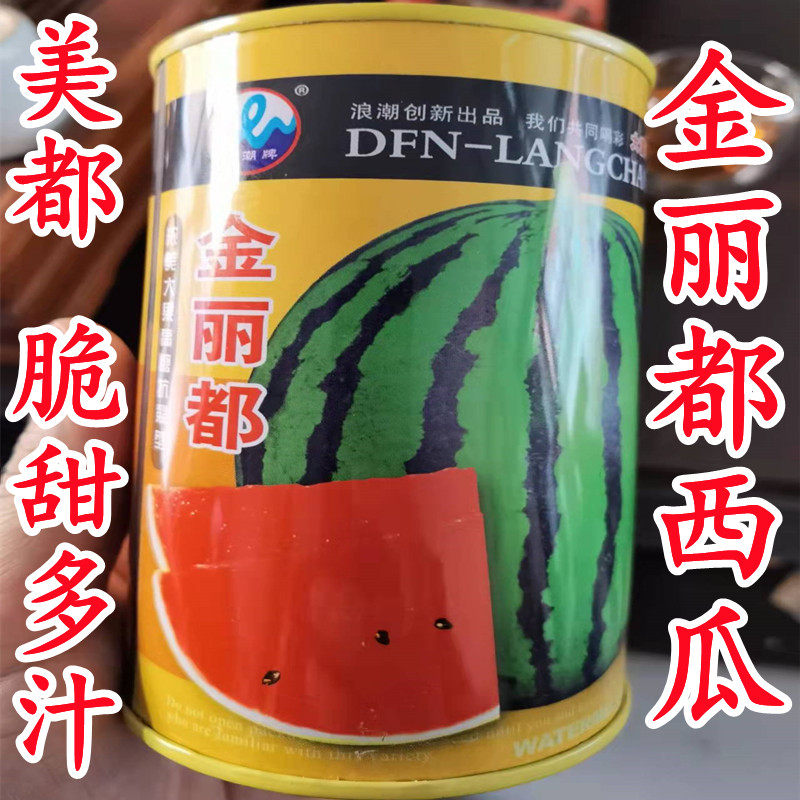 金丽都西瓜种子美都8424西瓜花皮种籽皮薄大果抗裂脆甜懒汉西瓜籽