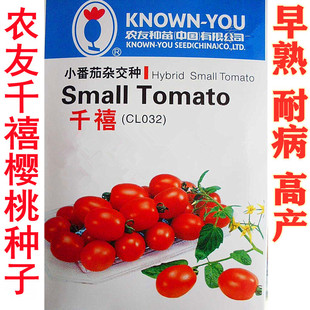 台湾农友千禧小番茄种子千禧圣女果种子原装口感好包邮