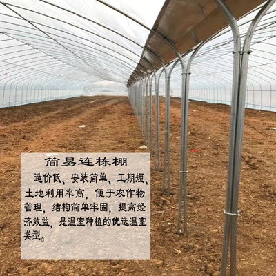 大棚骨架镀锌钢管养殖鸡鸭鹅o棚蔬菜种植育苗智能椭圆管温室大棚