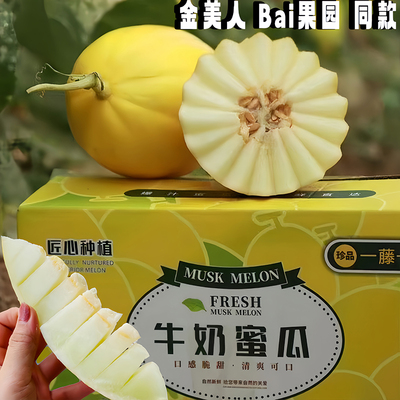 顺丰海南牛奶蜜瓜金美人甜瓜小金蛋冰糖瓜黄皮瓜水果白肉阎良三亚