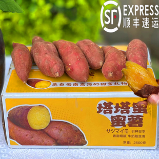 现货云南塔塔蜜薯顺丰5高原高山红薯黄心红瑶粉糯甜地瓜新鲜山芋