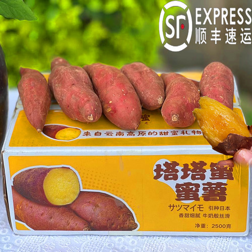 云南塔塔蜜红薯顺丰5高原高山黄心蜜薯红瑶粉糯甜地瓜新鲜山芋紫