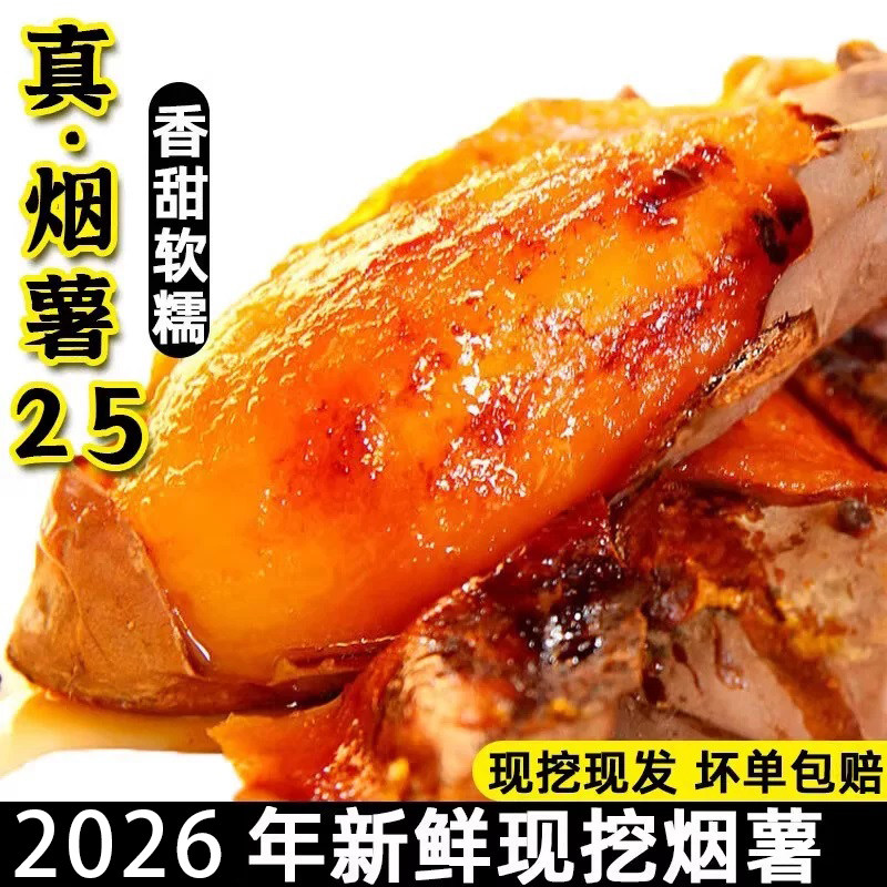 原种烟薯25号正宗精品礼盒红薯蜜薯一口糖烤地瓜番红心流油农科院