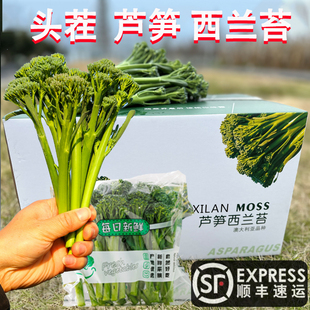 广东乐昌芦笋西兰苔头茬西兰花甜杆西蓝特级青菜蔬菜菜杆新鲜现摘