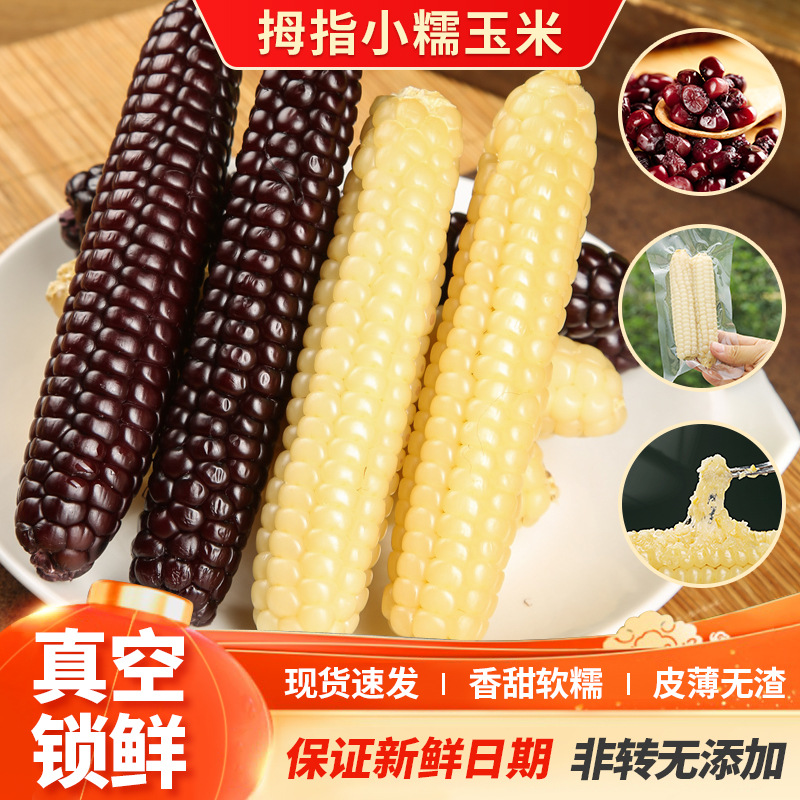 珍珠小玉米手指拇指迷你袖珍西双版纳傣族白软糯甜宝宝玉米黑紫色