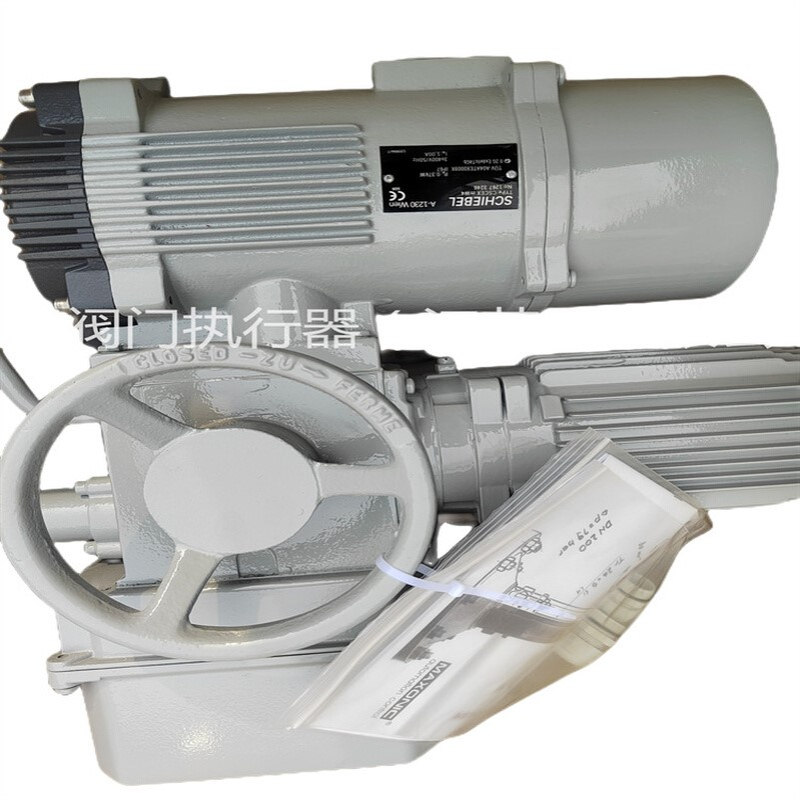 奥地利西贝电动执行器 rAB5E40-160AB-LTBZT- C3Z2/WDBS 主控板