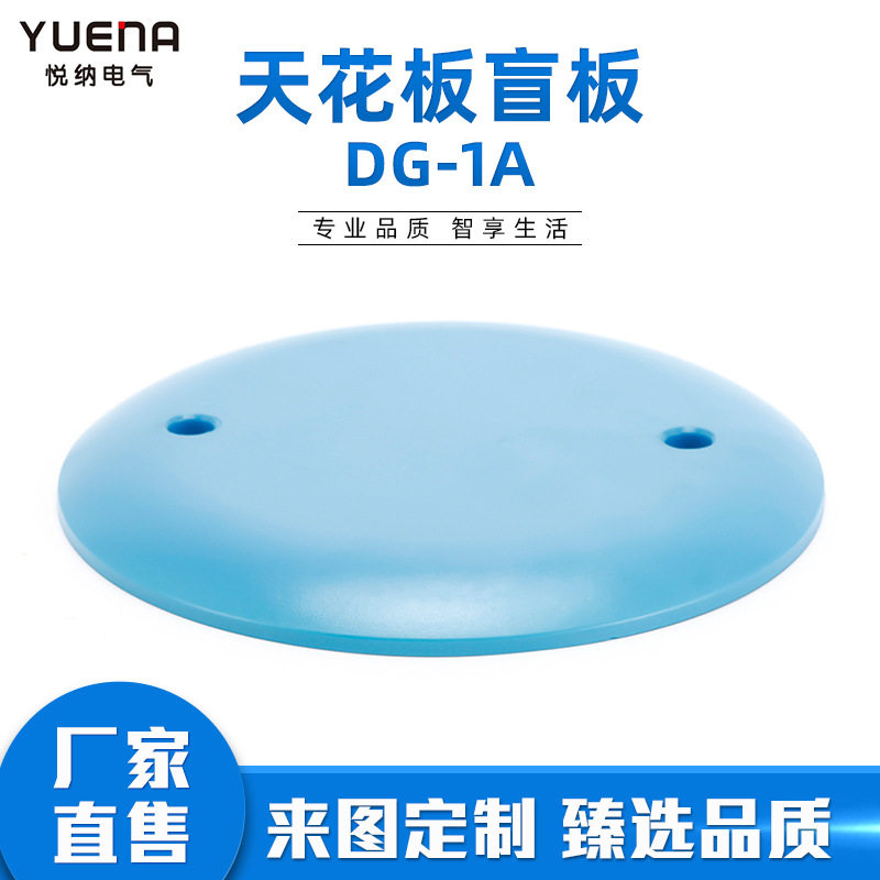 供应天花板盲板DG-1A
