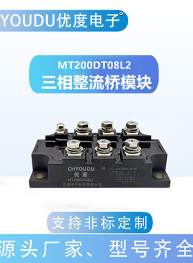 MT200DT08L2 MT200DT12L2 MT200DT16L2 MT200DT18L2 整流桥模块