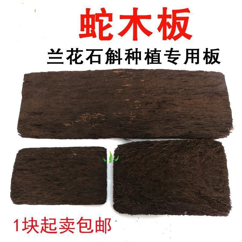 蛇木屑空气凤梨板石斛木板介质附生植物蛇木柱木盆蛇蝴蝶兰蛇兰花
