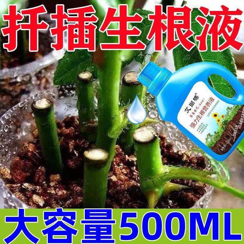快速生根液粉剂移栽扦插生根水营养液植物通用强力多肉壮苗生根剂