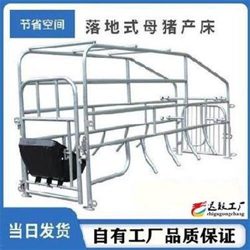 新地位支架简单围栏产床t母猪位落地式h产床养殖一体两用猪床订位