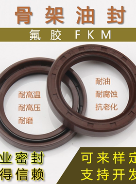 台湾NAK氟胶耐高温骨架油封TC28*52*7 30*40*5*7*8 30*42*5*6*7*8