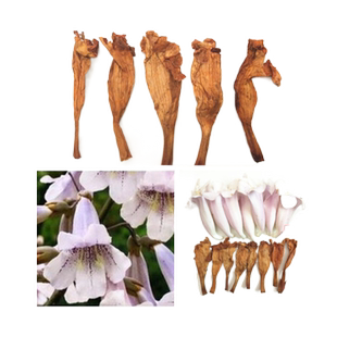 梧桐花新鲜晒干晾干泡桐花可磨粉泡脚梧桐花粉梧桐树脚臭气干花