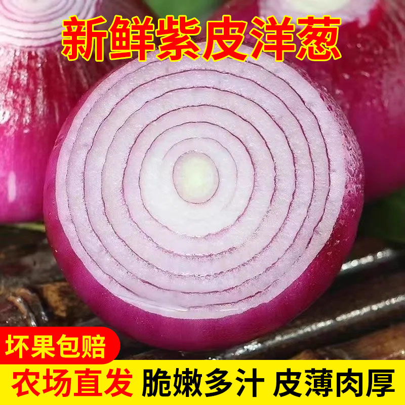 寿光蔬菜新鲜紫皮洋葱圆葱