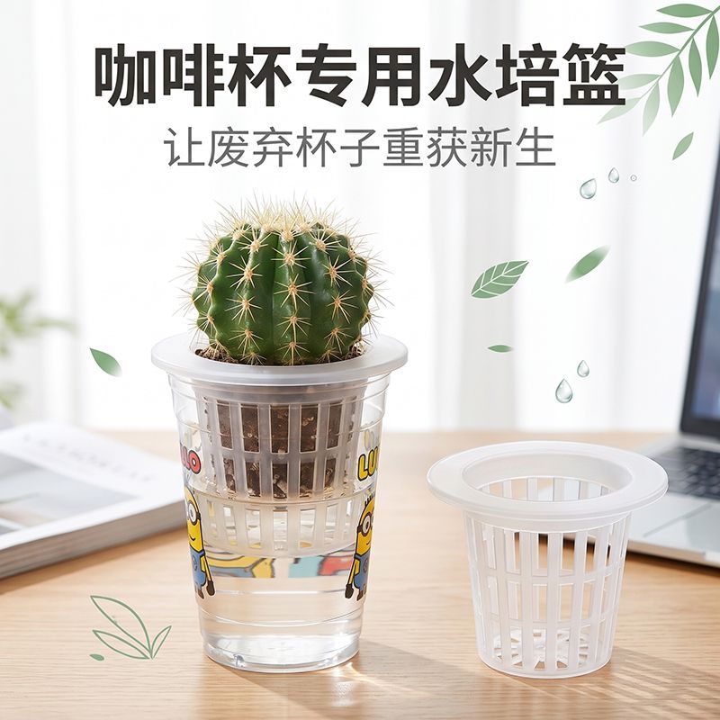 瑞辛咖啡杯养花定植篮固定架大杯超大杯通用水培多肉绿植篮子透明图片