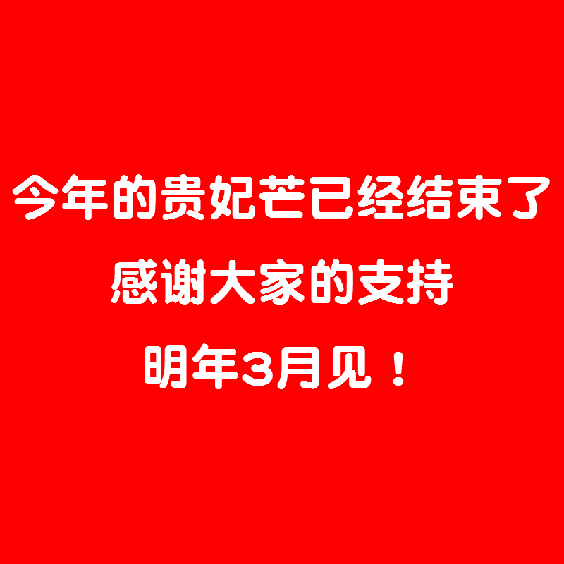 海南贵妃芒5斤10斤芒果新鲜当季水果树上快要熟现摘