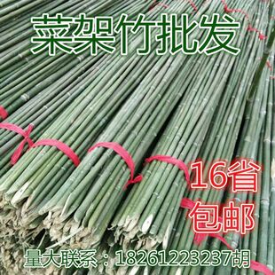 架条竹竿舞细长竹竿矮菜架竹竿黄瓜搭架子种菜园2米种菜家用竹子