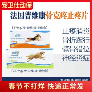 法国普维康骨克疼57mg止痛药宠物狗狗关节炎非罗考昔咀嚼片止疼片