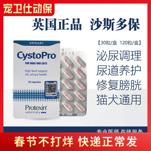 英国cystopro沙斯多保犬泌尿结石利尿通尿频尿血膀胱炎尿路感染犬