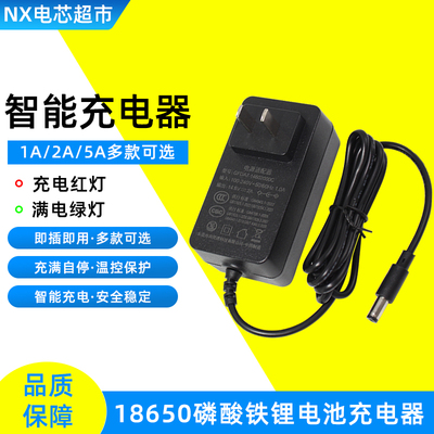 12.6V 25.2V 29.4V锂电池智能充电器铁锂充电器3.65V 14.6V伏29.2