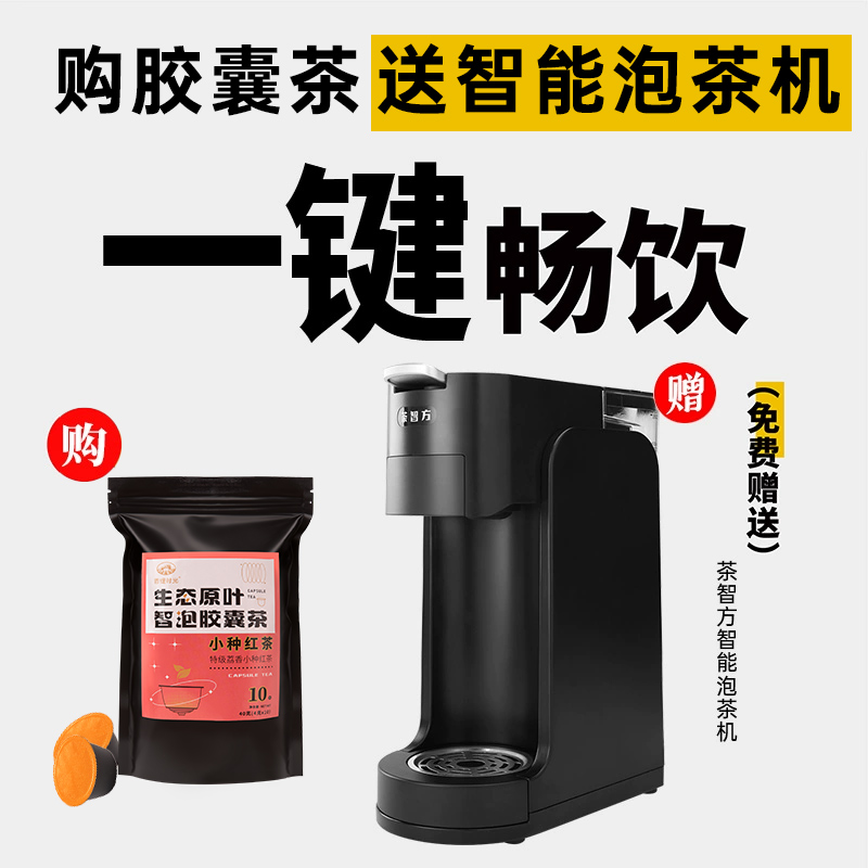 智能泡茶机原叶胶囊茶套装
