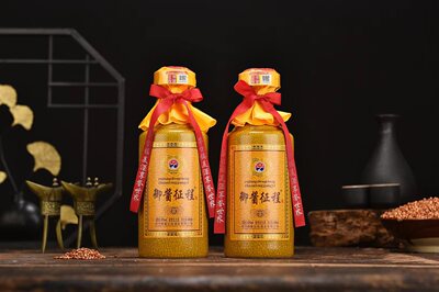 酱香型白酒500ML粮食御酱征程53