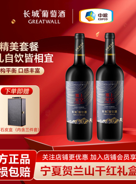 长城葡萄酒塞上星空赤霞珠干红宁夏红酒双支装年货送礼750ml*2瓶