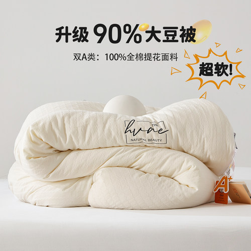A类五星级酒店90%大豆被子冬被子母被棉被空调被春秋被芯单人被子