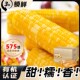 黄金十亩御园皇家精选有机糯玉米 推荐 2025新玉米 章小蕙同款