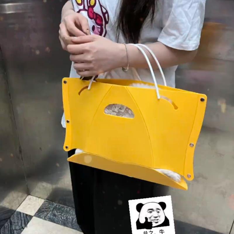 纸片马扎折叠凳子收纳包便捷式手提包袋两用户外露营多功能折叠椅