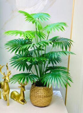 高端仿真绿植小型盆栽摆件假绿植轻奢客厅家居装饰造景洋芋扇葵