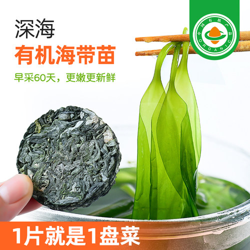 食尚农场壹号有机海带苗买10送2