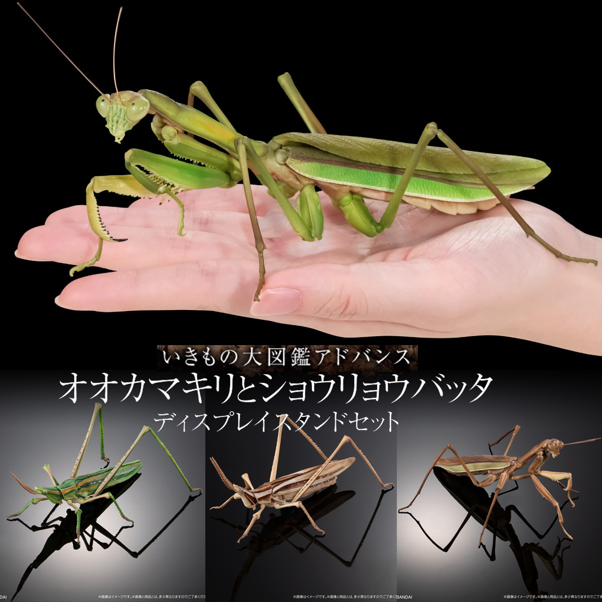 [预售]万代扭蛋生物大图