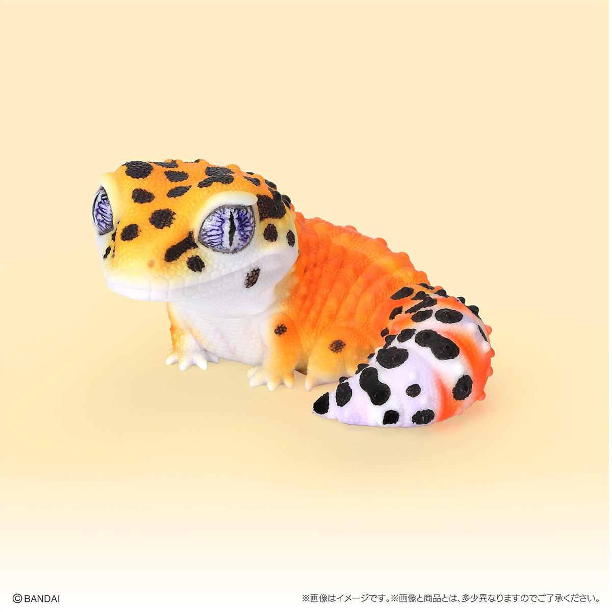 日本正版生物大图鉴瘤