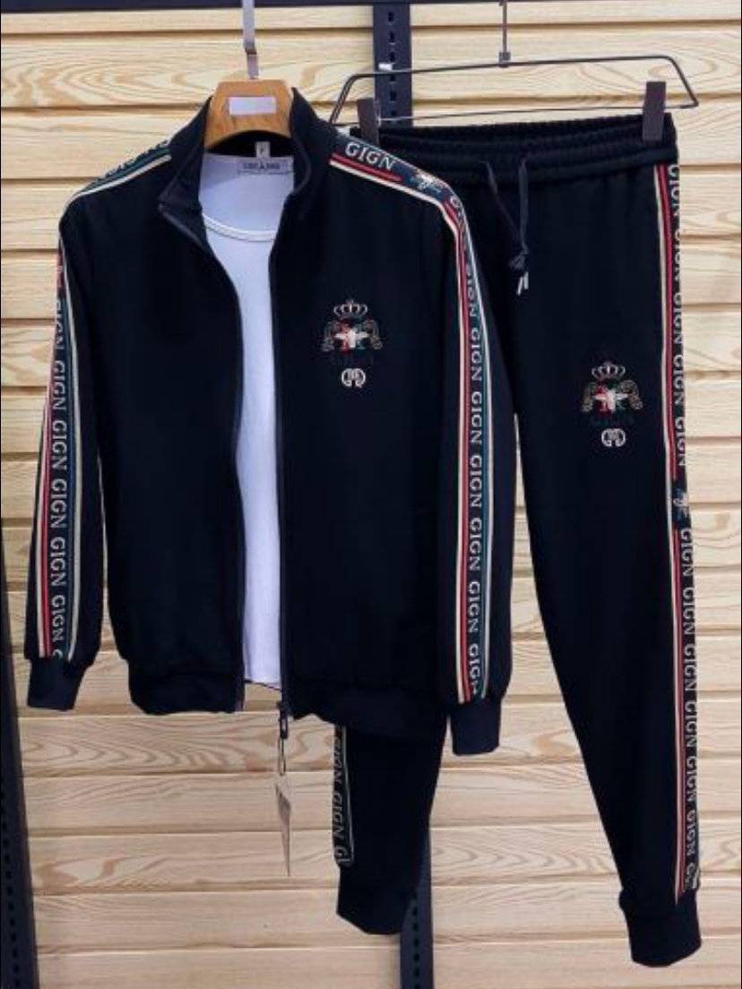 321男士春秋季新品运动立领休闲套装长袖时尚两件套百搭舒适男装