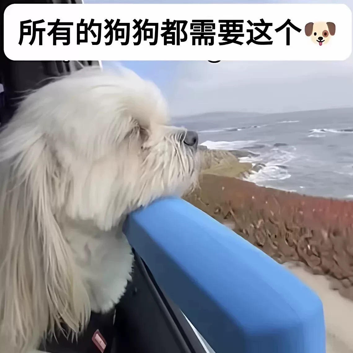 宠物狗狗趴车窗神器车窗下巴托护下巴防颠簸自驾旅行窗户保护套