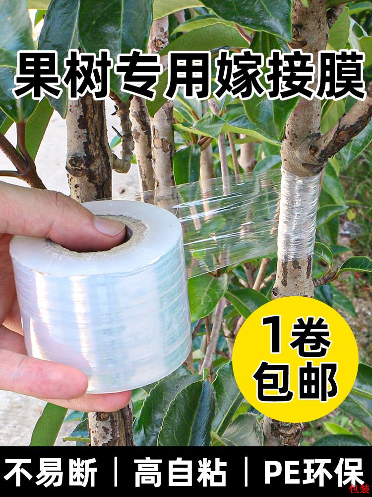 缠绕膜透明果树粘膜膜塑料膜包装膜拉伸膜薄膜打PE专用嫁接自包膜
