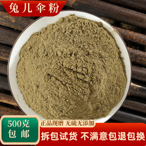 兔儿伞中药材兔尔伞兔耳伞七里麻