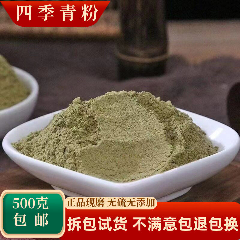 四季青粉中药材红冬青叶子东青叶
