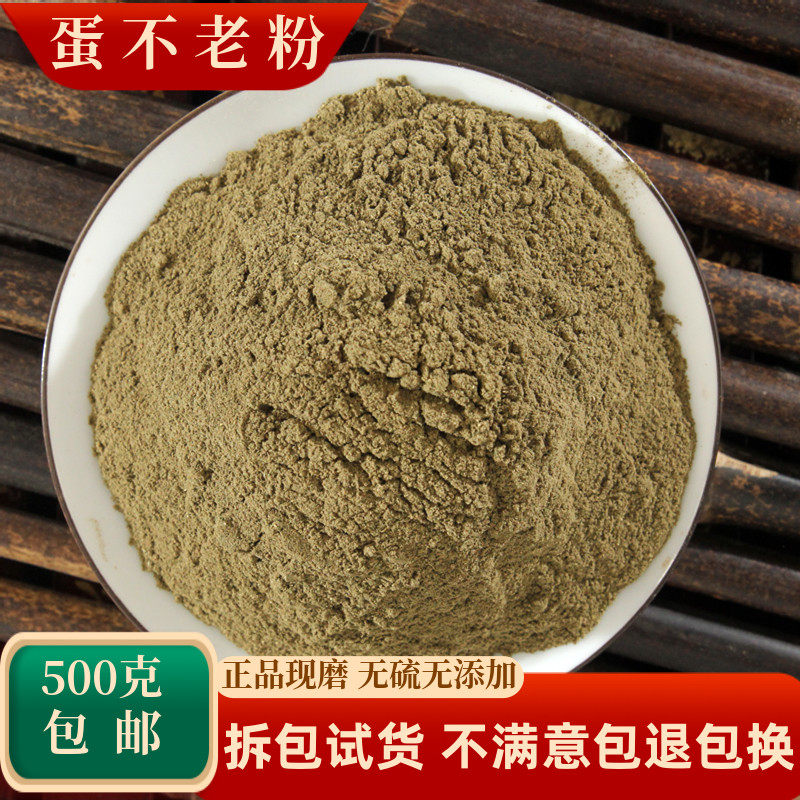 蛋不老粉中药材矮五甲白花蛋不老