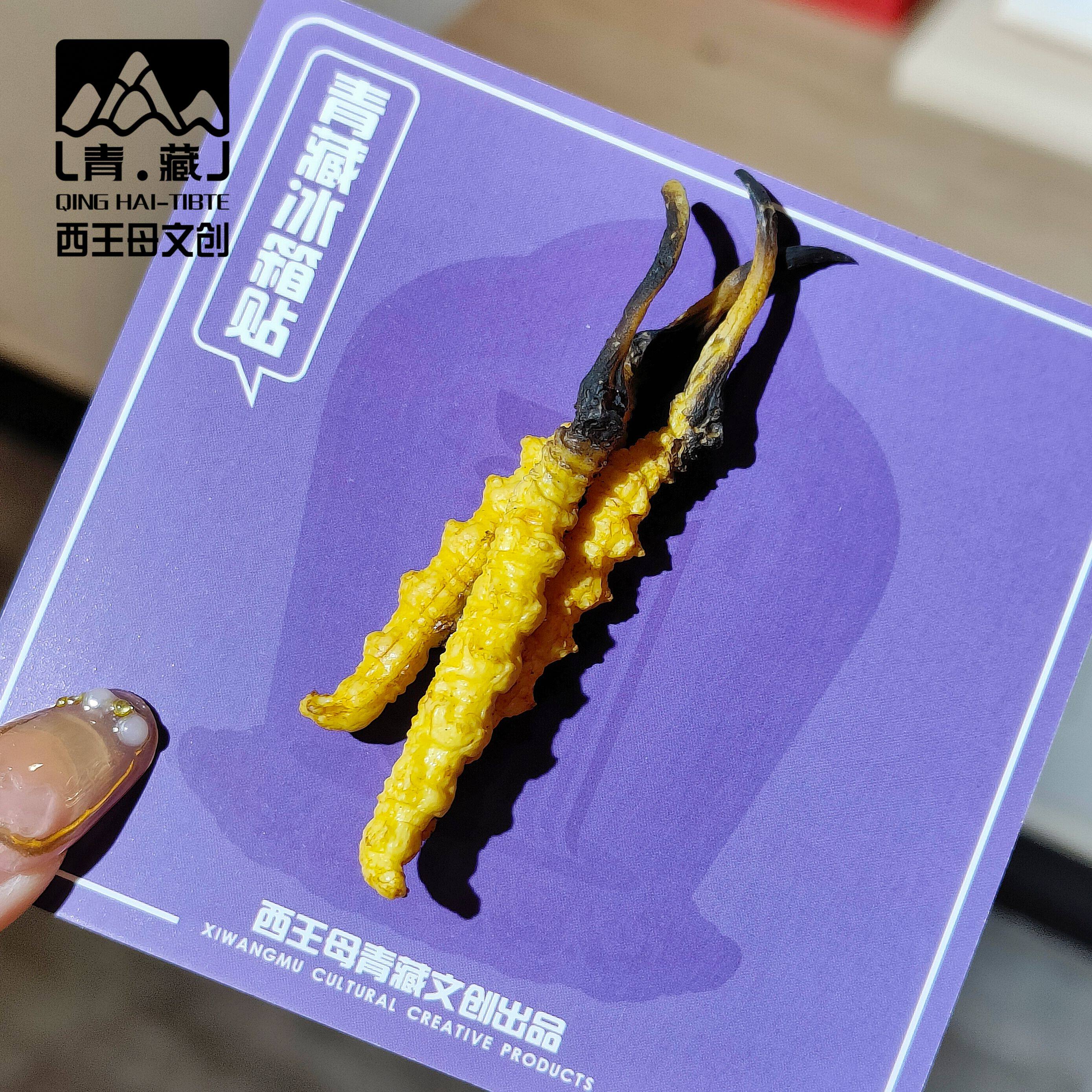 青海西藏旅游文创虫草特产冰箱贴文化创意冰箱贴
