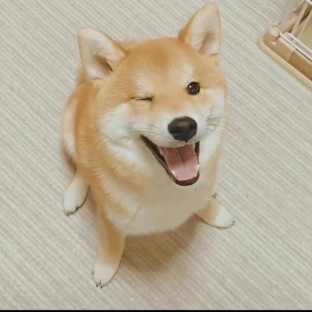 纯种柴犬幼崽便宜宠物狗秋田犬幼犬日本小柴犬白色真狗小狗崽狗狗