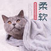 宠物毛毯猫咪毛毯小被子猫毯子猫睡觉冬季 保暖狗狗毯子毛毯垫用品