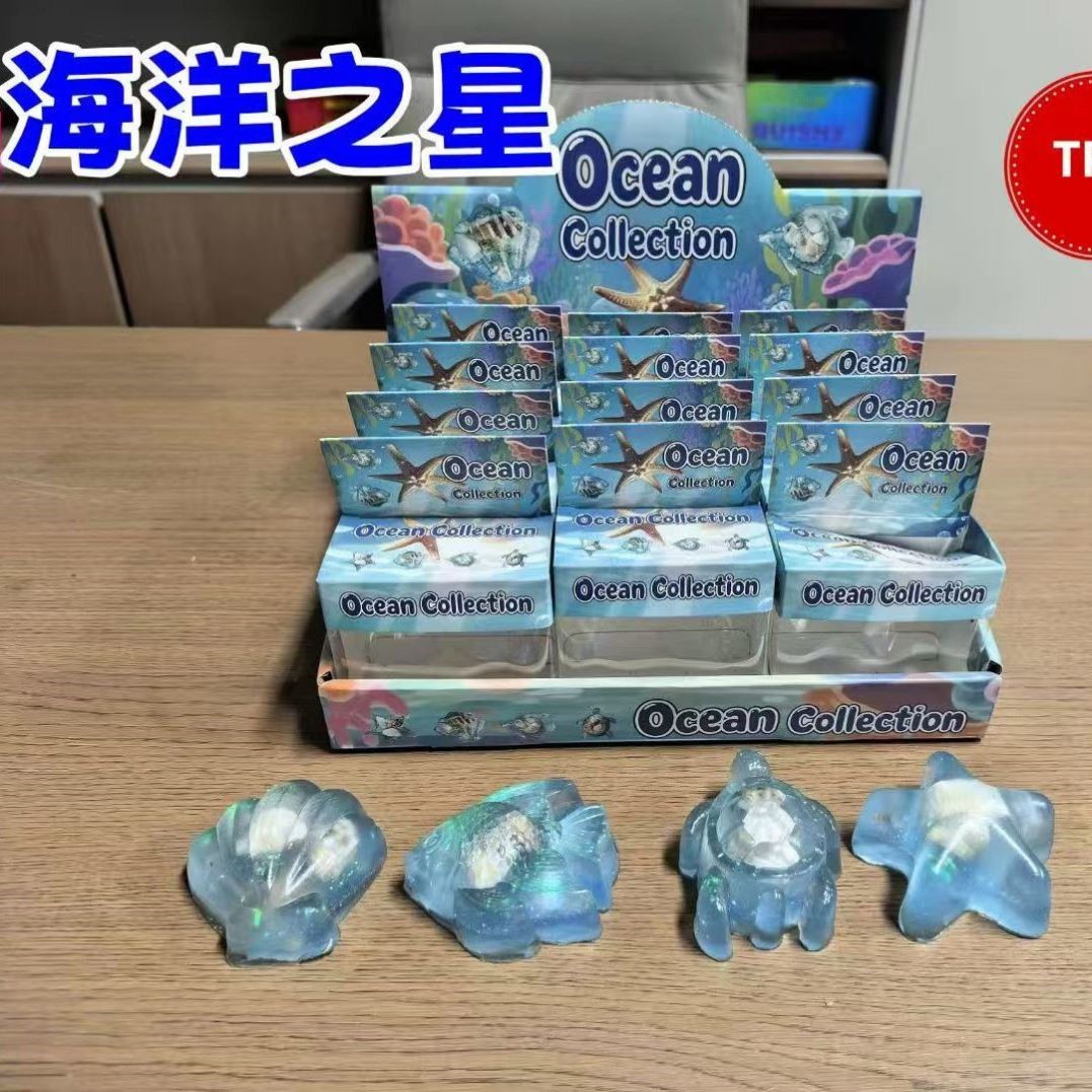 NeeDoh海洋动物乌龟海星贝壳鱼tpr捏捏乐跨境新品解压快回弹玩具