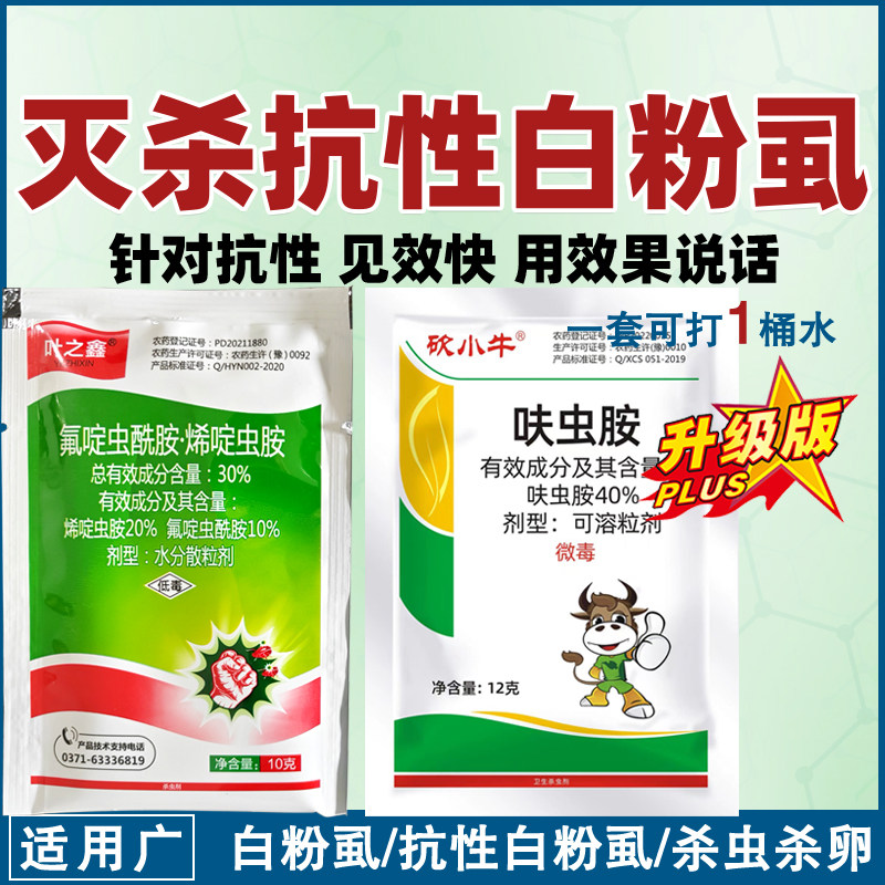 白粉虱农药杀虫剂氟啶虫酰胺烯啶呋虫胺蔬菜辣椒豆角番茄子杀虫剂