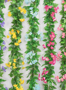 仿真藤条牵牛花绿叶装饰假树叶绿藤塑料花藤水管道遮挡空调绿萝叶